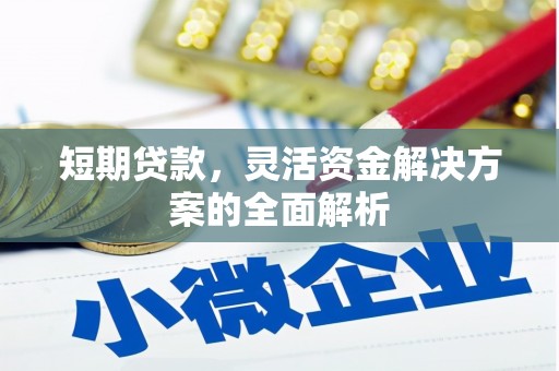 石冈短期贷款，灵活资金解决方案的全面解析