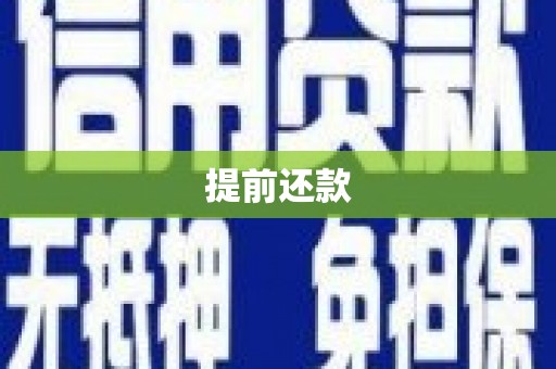 石冈提前还款