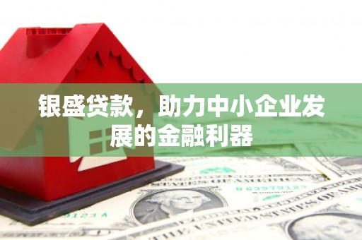 石冈银盛贷款，助力中小企业发展的金融利器