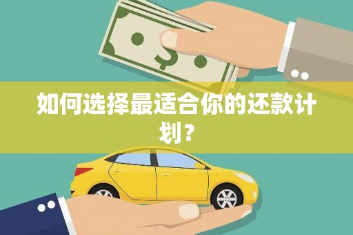 石冈如何选择最适合你的还款计划？