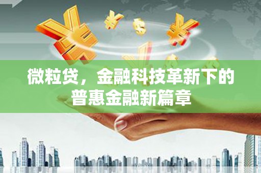 石冈微粒贷，金融科技革新下的普惠金融新篇章