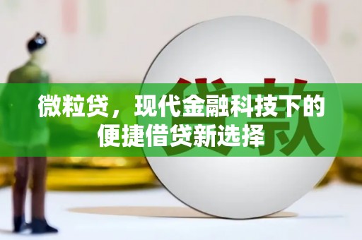 石冈微粒贷，现代金融科技下的便捷借贷新选择