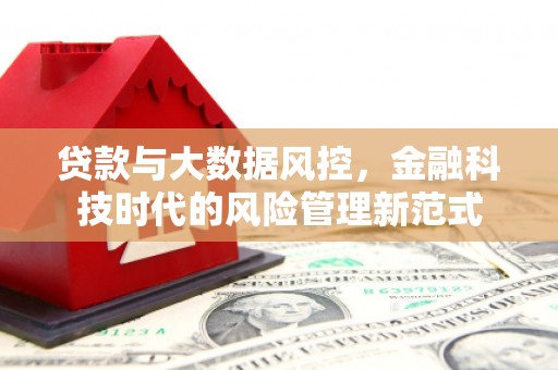 石冈贷款与大数据风控，金融科技时代的风险管理新范式