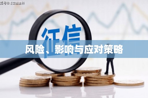 石冈风险、影响与应对策略