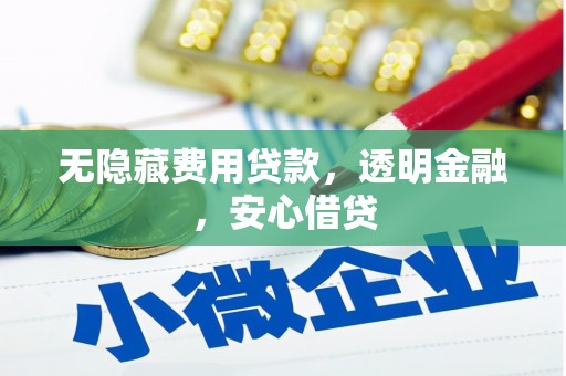 石冈无隐藏费用贷款，透明金融，安心借贷