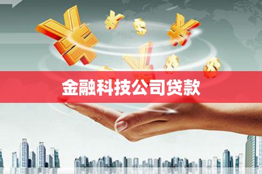 石冈金融科技公司贷款