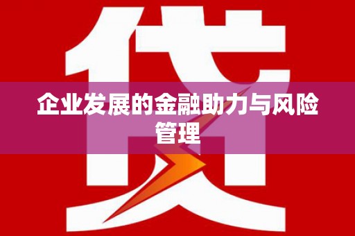石冈企业发展的金融助力与风险管理