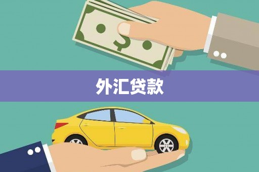 石冈外汇贷款