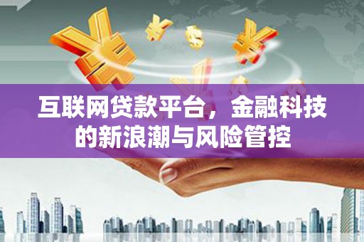 石冈互联网贷款平台，金融科技的新浪潮与风险管控