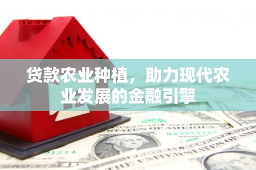 石冈贷款农业种植，助力现代农业发展的金融引擎