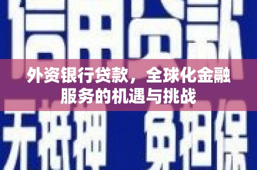 石冈外资银行贷款，全球化金融服务的机遇与挑战