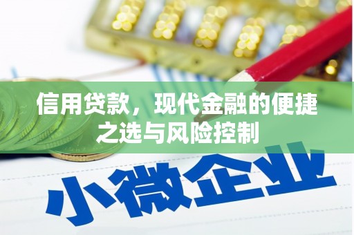 石冈信用贷款，现代金融的便捷之选与风险控制