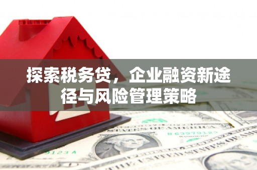 石冈探索税务贷，企业融资新途径与风险管理策略