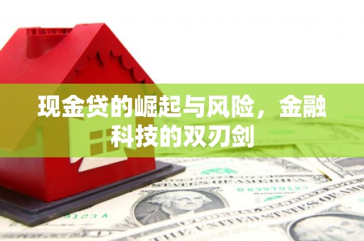 石冈现金贷的崛起与风险，金融科技的双刃剑