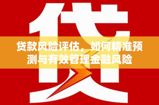 石冈贷款风险评估，如何精准预测与有效管理金融风险