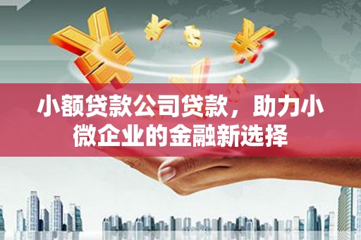 石冈小额贷款公司贷款，助力小微企业的金融新选择