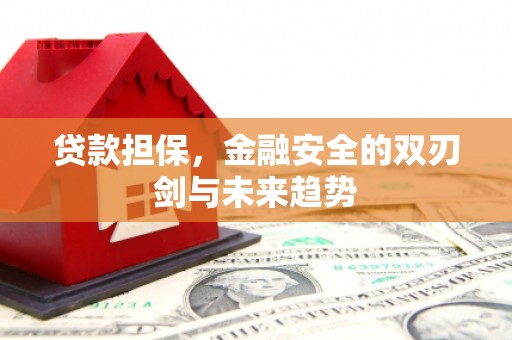 石冈贷款担保，金融安全的双刃剑与未来趋势
