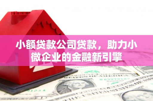 石冈小额贷款公司贷款，助力小微企业的金融新引擎