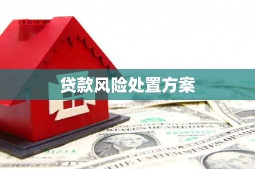 石冈贷款风险处置方案