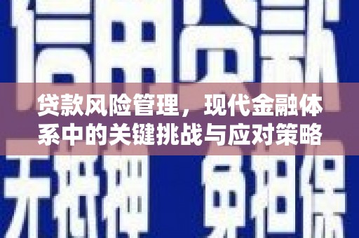 石冈贷款风险管理，现代金融体系中的关键挑战与应对策略