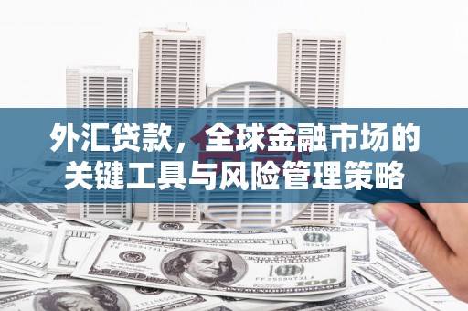 石冈外汇贷款，全球金融市场的关键工具与风险管理策略