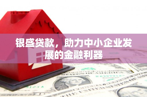 石冈银盛贷款，助力中小企业发展的金融利器