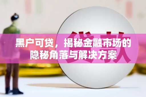 石冈黑户可贷，揭秘金融市场的隐秘角落与解决方案