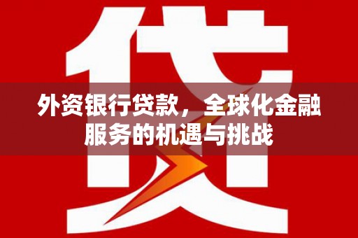 石冈外资银行贷款，全球化金融服务的机遇与挑战