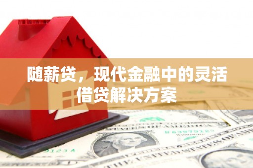 石冈随薪贷，现代金融中的灵活借贷解决方案
