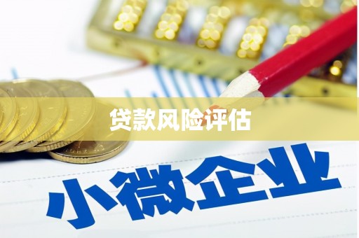 石冈贷款风险评估