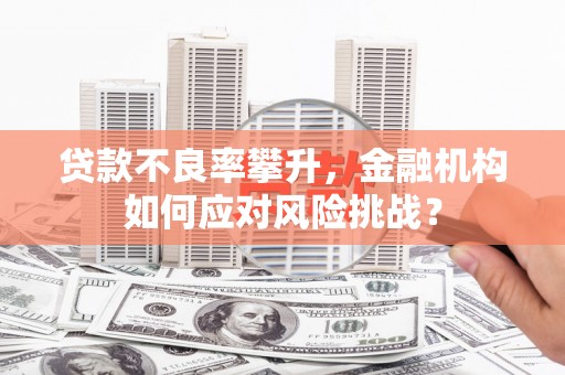 石冈贷款不良率攀升，金融机构如何应对风险挑战？