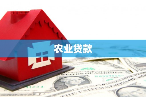 石冈农业贷款
