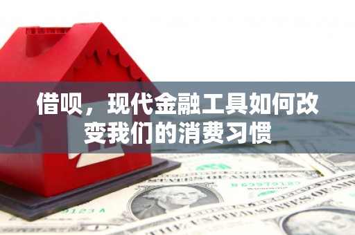 石冈借呗，现代金融工具如何改变我们的消费习惯