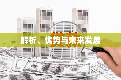 石冈解析、优势与未来发展