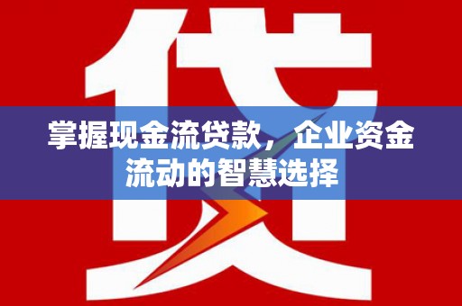 石冈掌握现金流贷款，企业资金流动的智慧选择