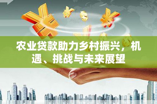 石冈农业贷款助力乡村振兴，机遇、挑战与未来展望