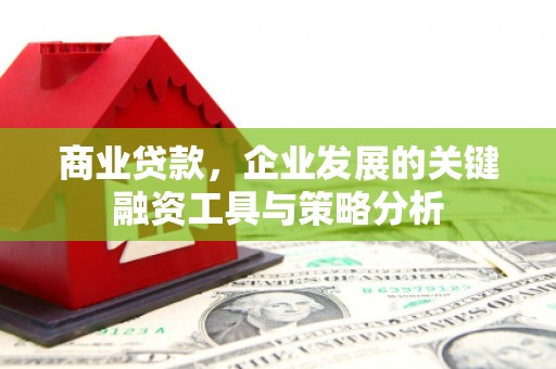 石冈商业贷款，企业发展的关键融资工具与策略分析