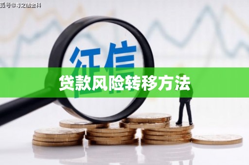 石冈贷款风险转移方法