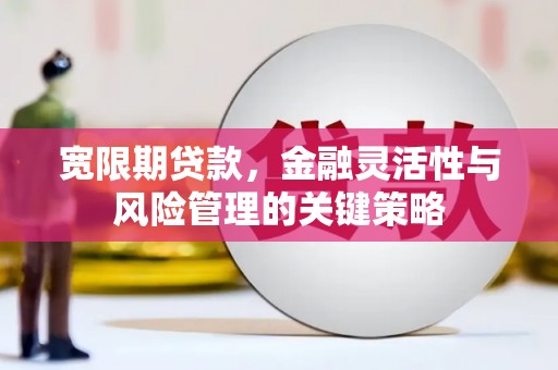 石冈宽限期贷款，金融灵活性与风险管理的关键策略