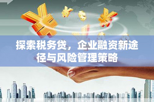 石冈探索税务贷，企业融资新途径与风险管理策略