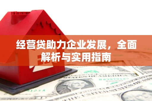 石冈经营贷助力企业发展，全面解析与实用指南