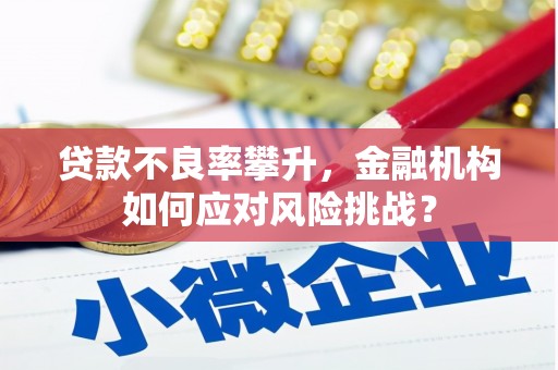 石冈贷款不良率攀升，金融机构如何应对风险挑战？