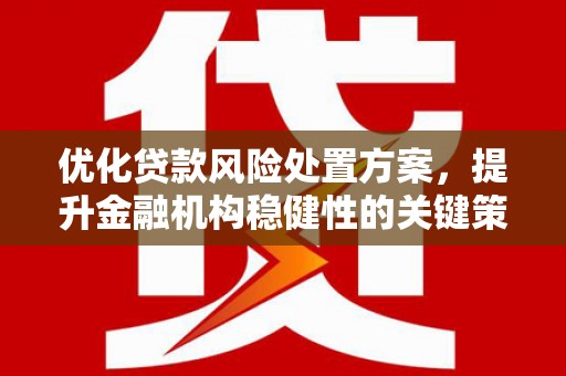 石冈优化贷款风险处置方案，提升金融机构稳健性的关键策略