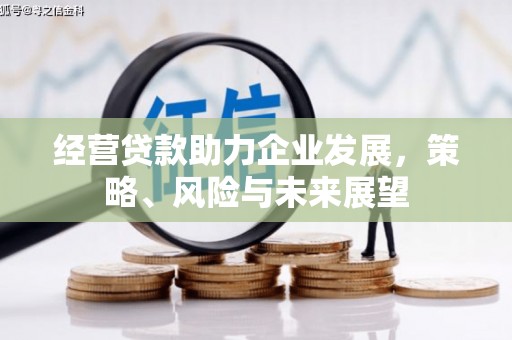 石冈经营贷款助力企业发展，策略、风险与未来展望