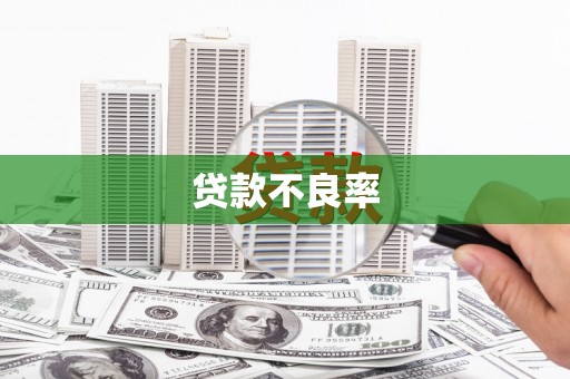 石冈贷款不良率