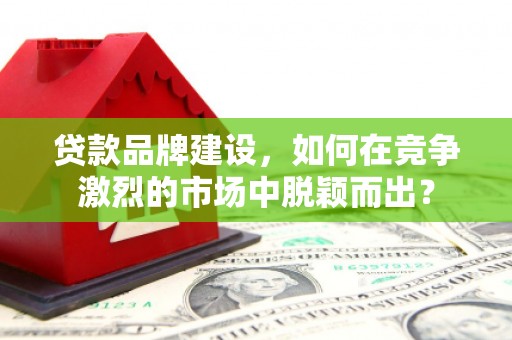 石冈贷款品牌建设，如何在竞争激烈的市场中脱颖而出？