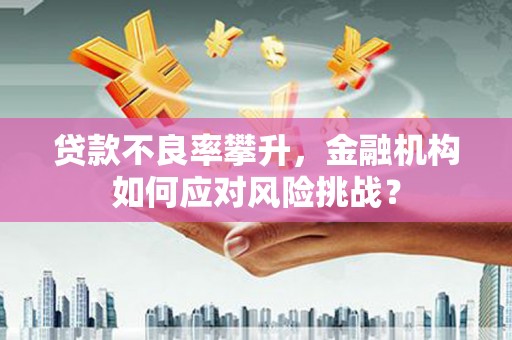石冈贷款不良率攀升，金融机构如何应对风险挑战？