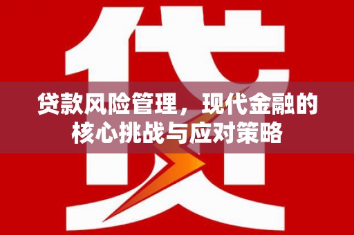石冈贷款风险管理，现代金融的核心挑战与应对策略