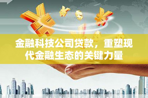 石冈金融科技公司贷款，重塑现代金融生态的关键力量