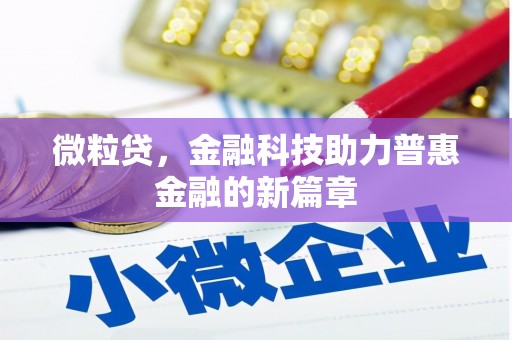 石冈微粒贷，金融科技助力普惠金融的新篇章